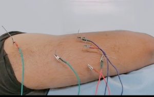 WhatsApp Image 2026-02-27 at 5.16.12 PM